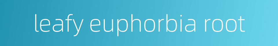 leafy euphorbia root的同义词