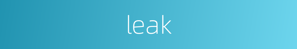 leak的同义词