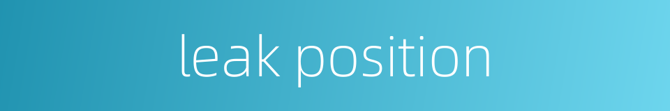 leak position的同义词