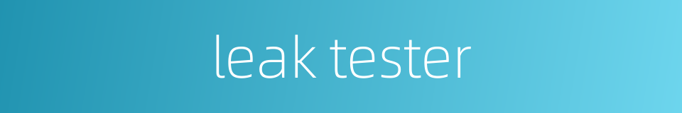 leak tester的同义词