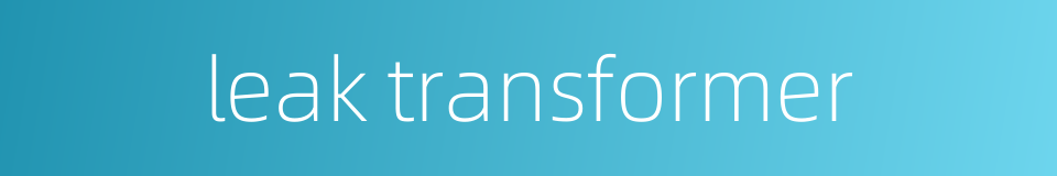 leak transformer的同义词
