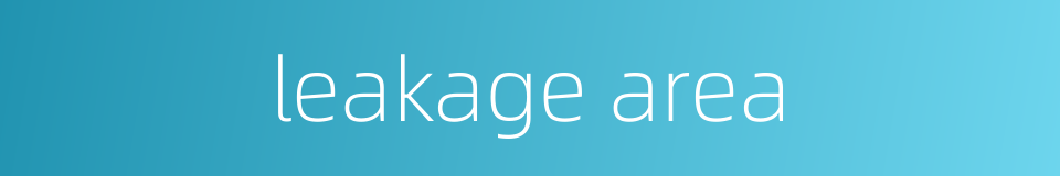 leakage area的同义词