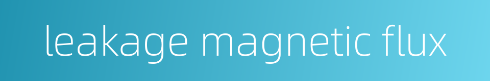 leakage magnetic flux的同义词