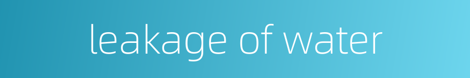 leakage of water的同义词
