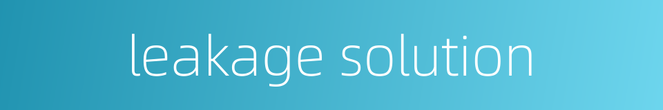 leakage solution的同义词