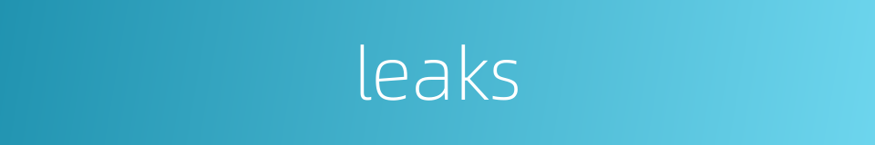 leaks的同义词