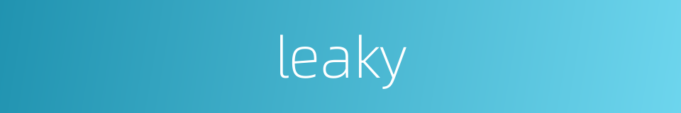 leaky的同义词