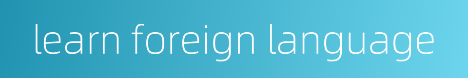 learn foreign language的同义词