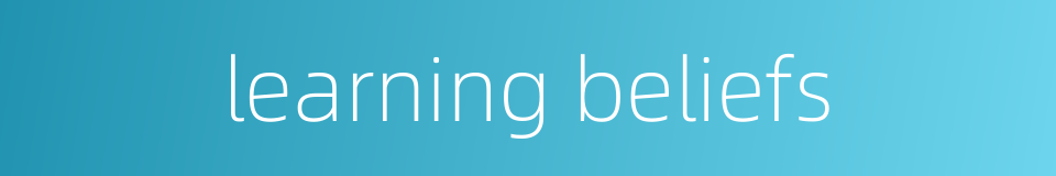 learning beliefs的同义词