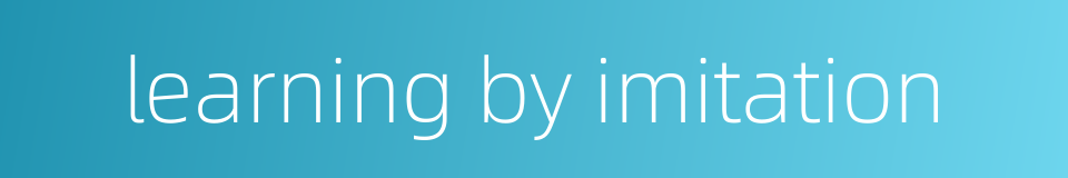 learning by imitation的同义词