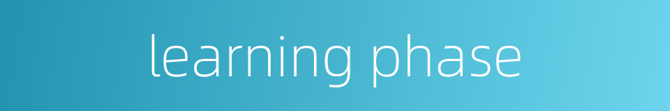 learning phase的同义词
