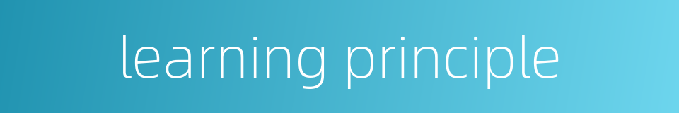 learning principle的同义词