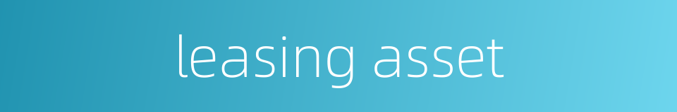 leasing asset的同义词