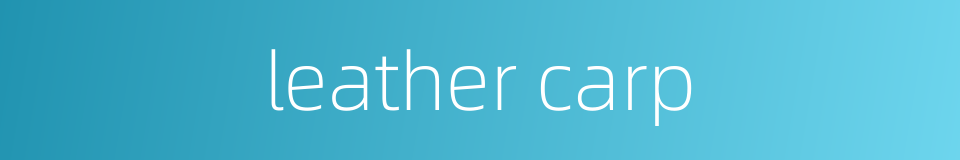leather carp的同义词