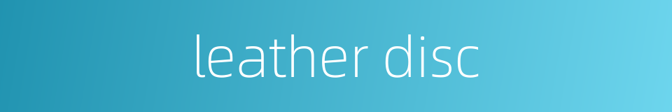 leather disc的同义词