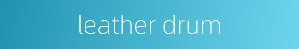 leather drum的同义词