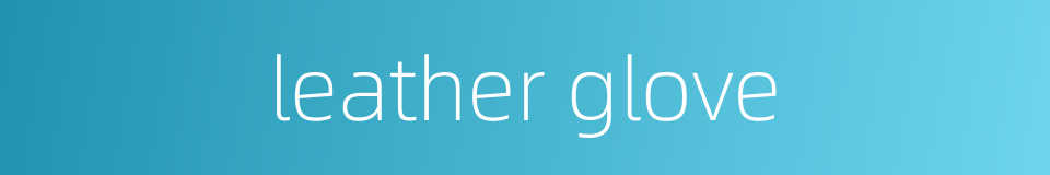 leather glove的同义词