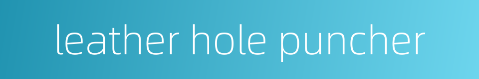 leather hole puncher的同义词