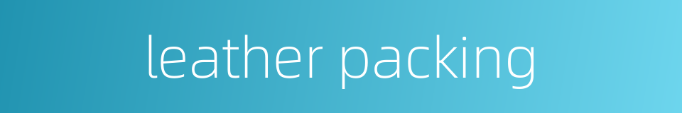 leather packing的同义词