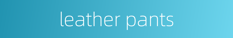 leather pants的同义词