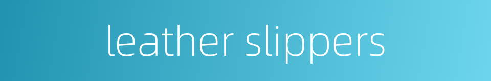 leather slippers的同义词