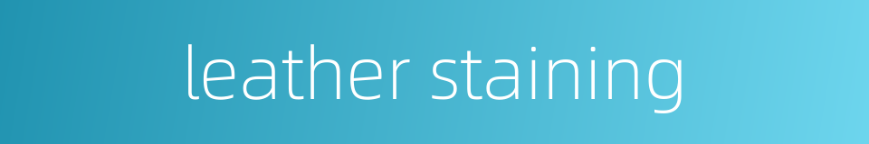 leather staining的同义词