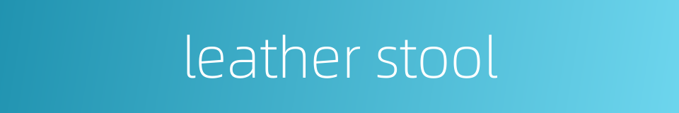 leather stool的同义词