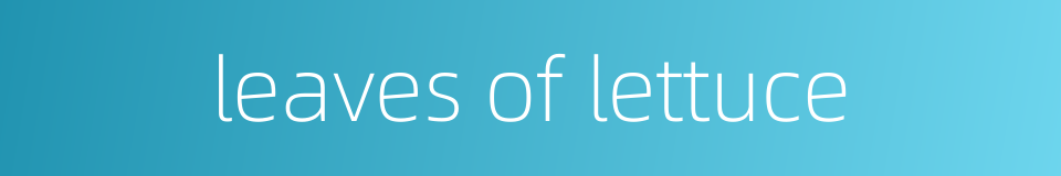 leaves of lettuce的同义词