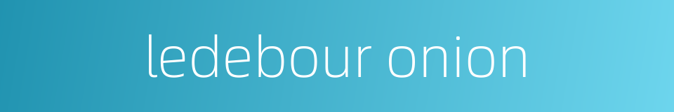 ledebour onion的同义词