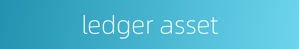 ledger asset的同义词