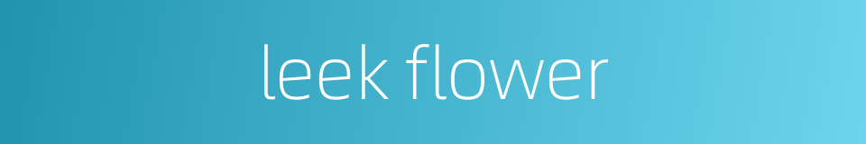 leek flower的同义词