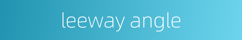 leeway angle的同义词