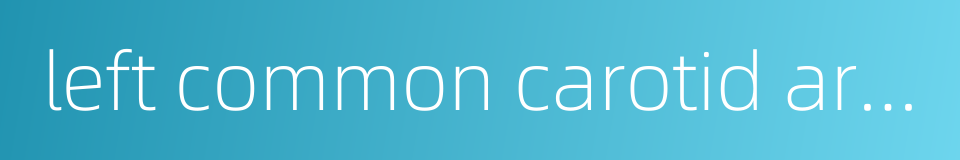 left common carotid artery的同义词