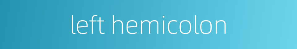 left hemicolon的同义词