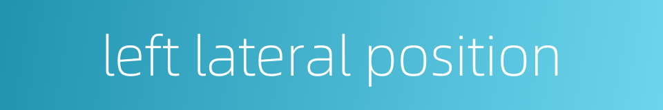 left lateral position的同义词