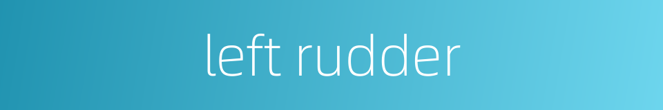 left rudder的同义词