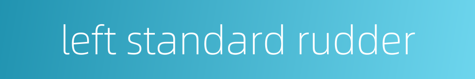 left standard rudder的同义词