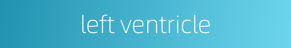 left ventricle的同义词