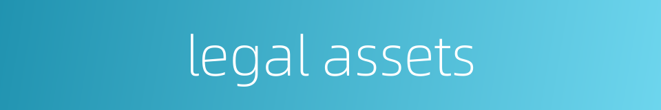 legal assets的同义词