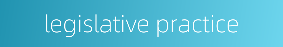 legislative practice的同义词