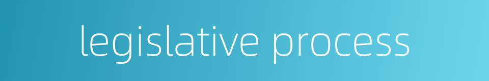 legislative process的同义词