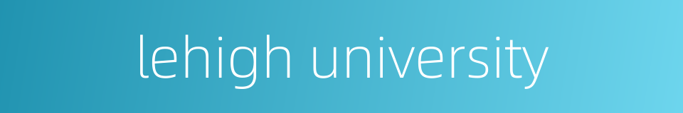 lehigh university的同义词