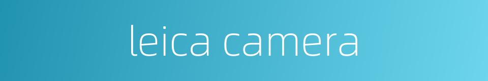 leica camera的同义词