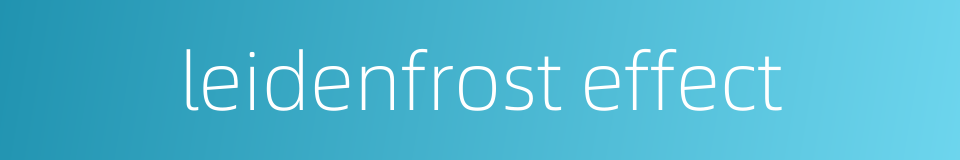 leidenfrost effect的同义词