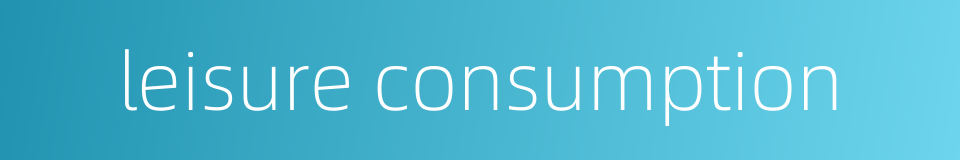 leisure consumption的同义词