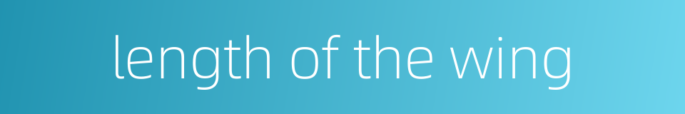 length of the wing的同义词