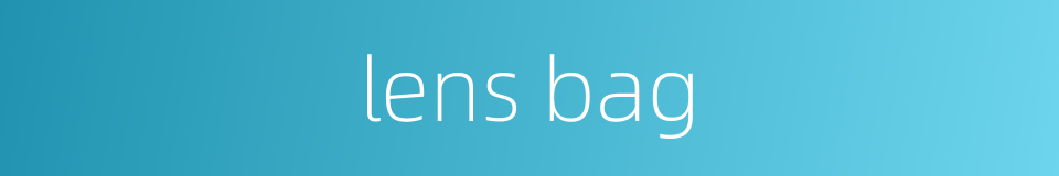 lens bag的同义词