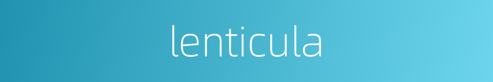 lenticula的同义词