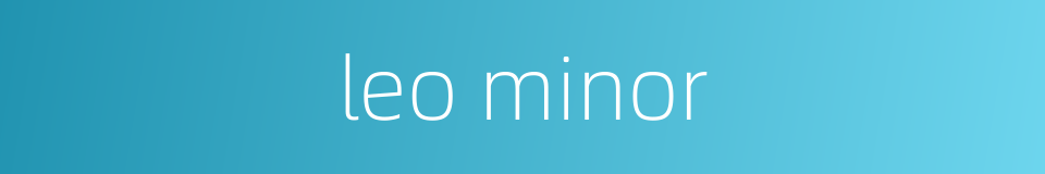 leo minor的同义词