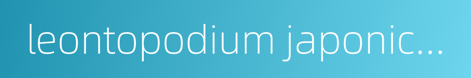 leontopodium japonicum的同义词